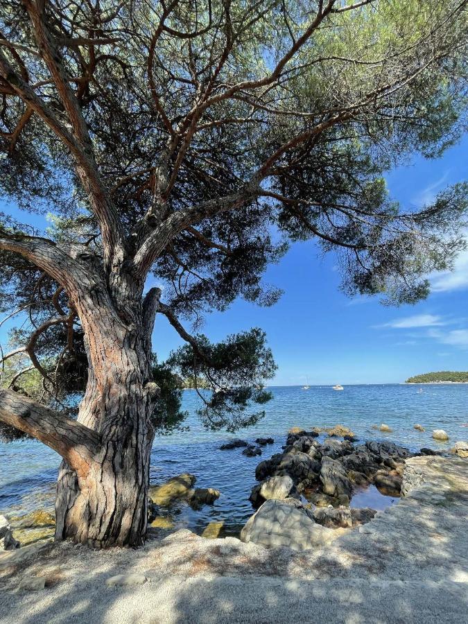 Clorinda Sea View Free Parking Lägenhet Rovinj Exteriör bild